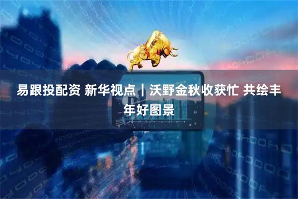 易跟投配资 新华视点｜沃野金秋收获忙 共绘丰年好图景