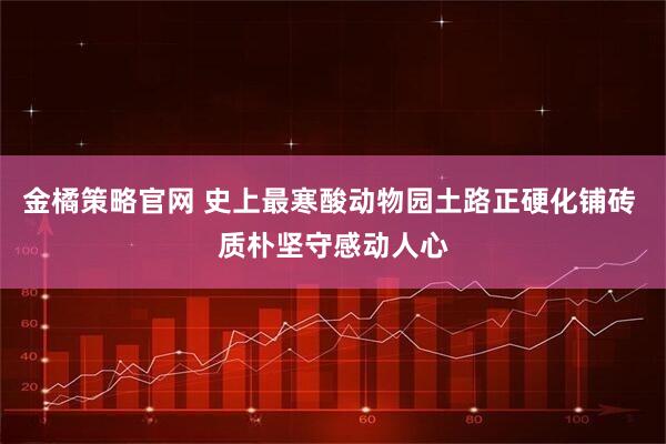 金橘策略官网 史上最寒酸动物园土路正硬化铺砖 质朴坚守感动人心