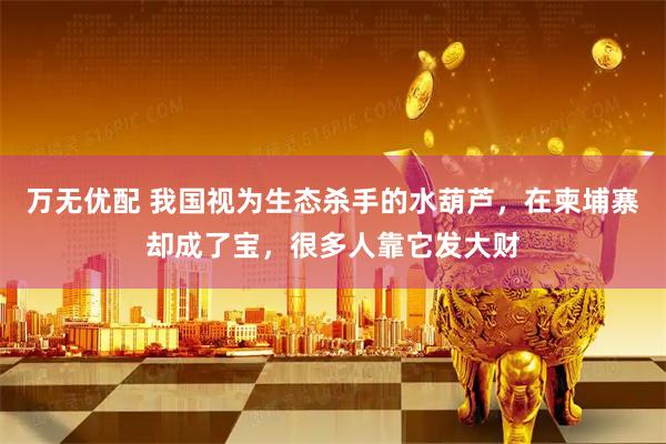 万无优配 我国视为生态杀手的水葫芦，在柬埔寨却成了宝，很多人靠它发大财