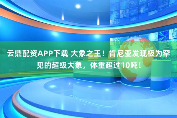 云鼎配资APP下载 大象之王！肯尼亚发现极为罕见的超级大象，体重超过10吨！