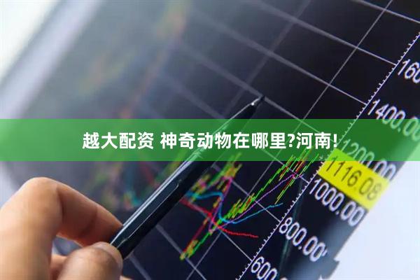 越大配资 神奇动物在哪里?河南!