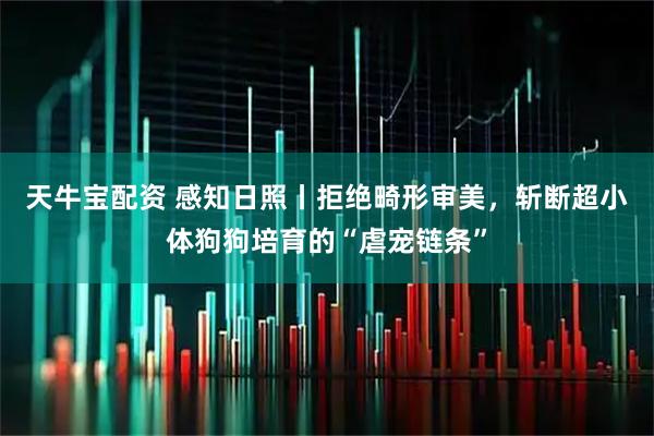 天牛宝配资 感知日照丨拒绝畸形审美，斩断超小体狗狗培育的“虐宠链条”
