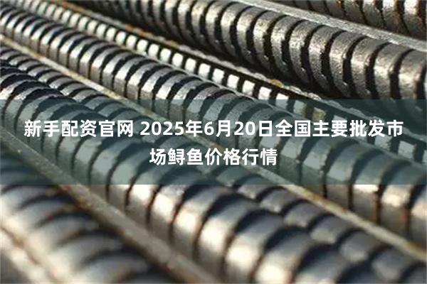 新手配资官网 2025年6月20日全国主要批发市场鲟鱼价格行情
